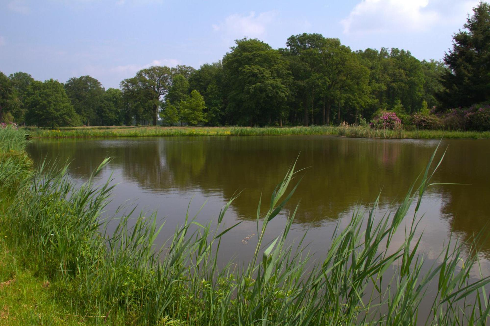 B&B Kasteel Den Tip Arendonk Kültér fotó