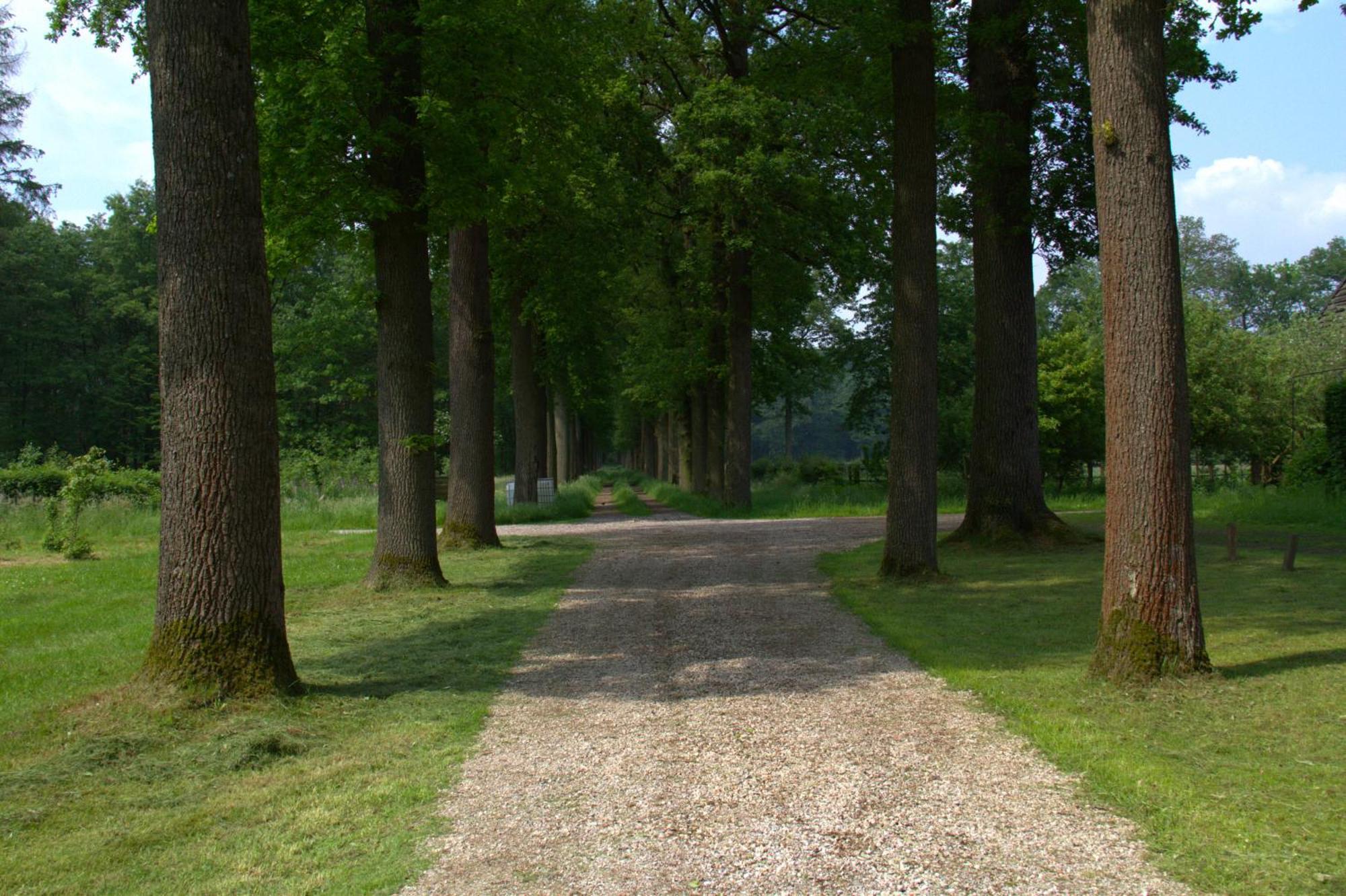 B&B Kasteel Den Tip Arendonk Kültér fotó